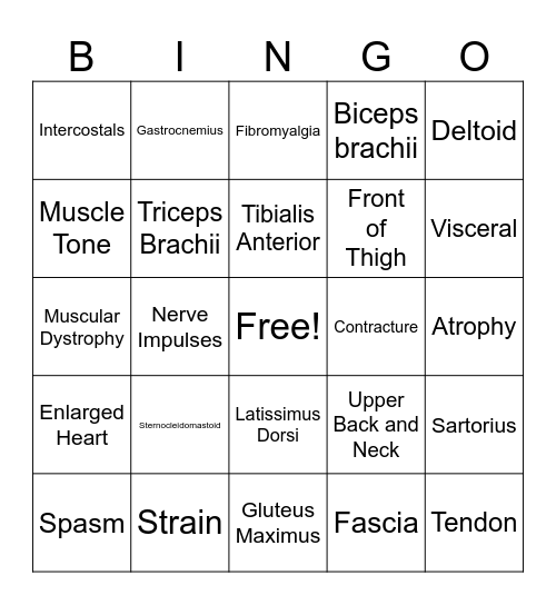 Muscular System Bingo! Bingo Card