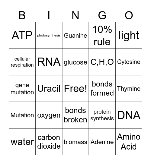 Proficiency 2 Bingo Card