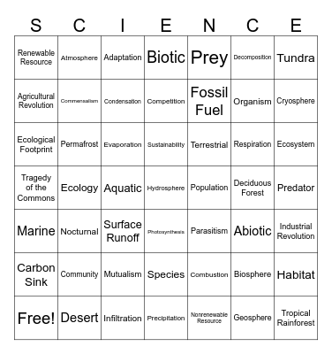 E.S. Fall Final Review Bingo Card