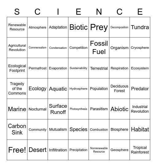 E.S. Fall Final Review Bingo Card