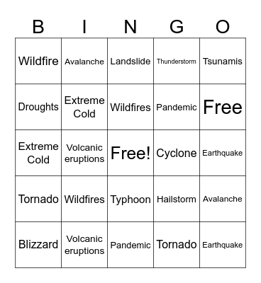 Natural Disasters Bingo Card