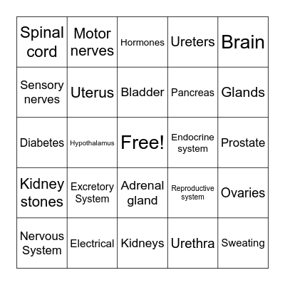 Human Systems Bingo Card