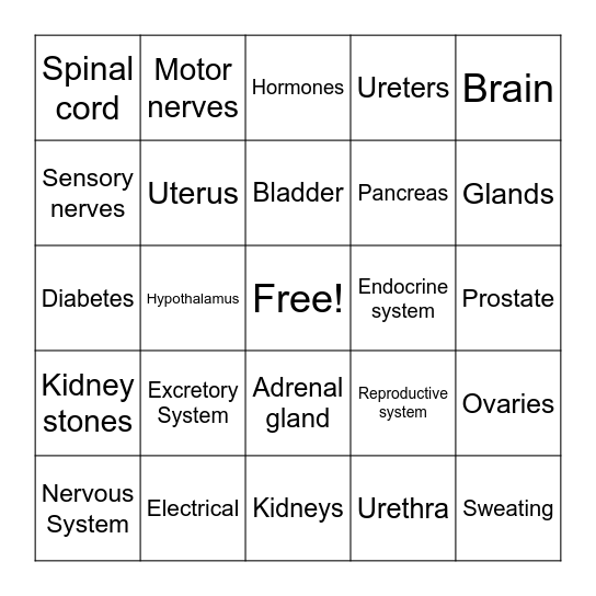 Human Systems Bingo Card