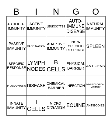 Immune System Bingo Card