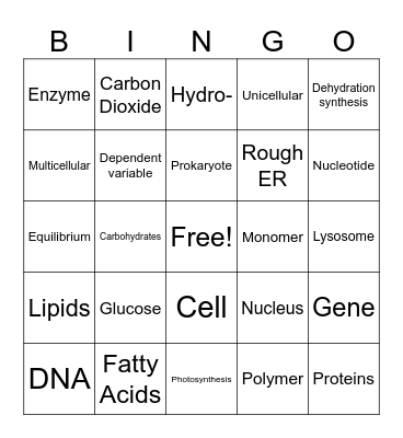 Game 1 New Fall 2025 Biology Bingo Card