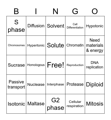 Game 2 New Fall Final 2025 Bingo Card