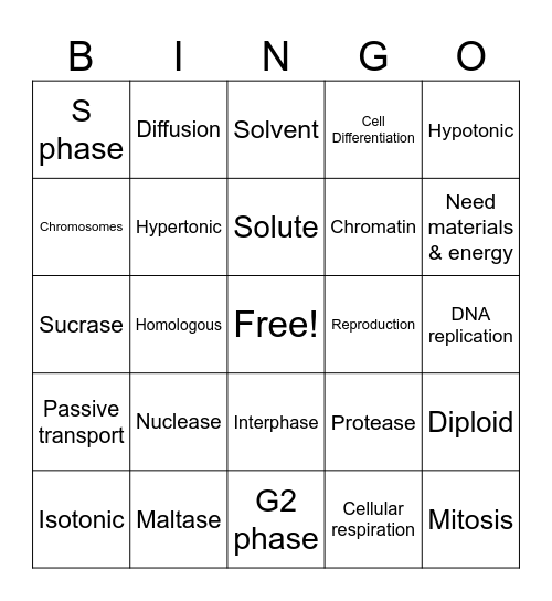 Game 2 New Fall Final 2025 Bingo Card