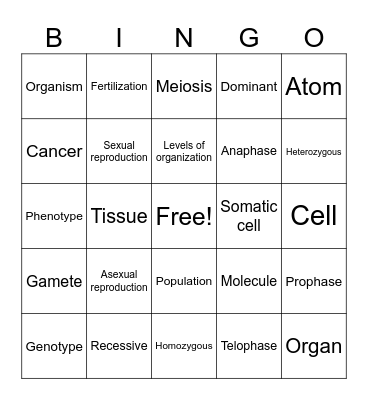 Game 3 New Fall final 2025 BiologyReview Bingo Card