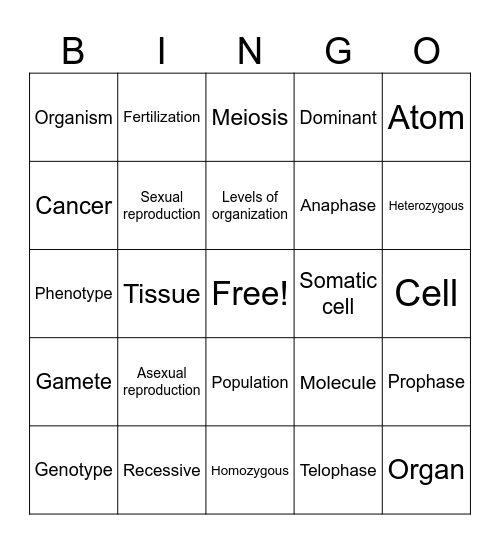 Game 3 New Fall final 2025 BiologyReview Bingo Card