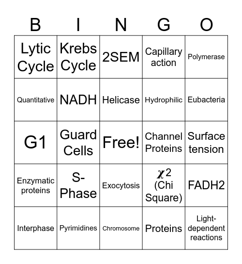 Fall Semester Exam Review 2025 Bingo Card
