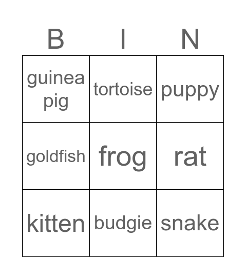 PETS Bingo Card