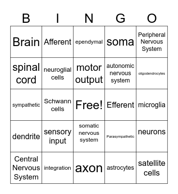 Nervous System Bingo Card