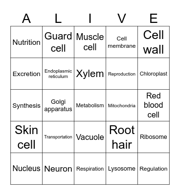 Bingo Alive! Life functions Bingo Card