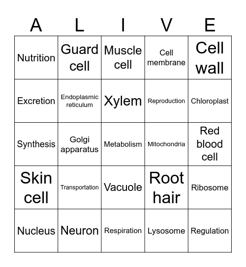 Bingo Alive! Life functions Bingo Card