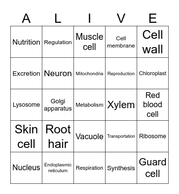 Bingo Alive! Life functions Bingo Card