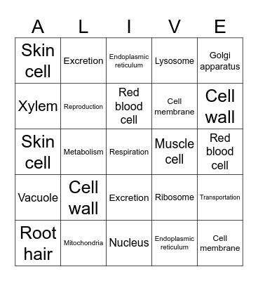 Bingo Alive! Life functions Bingo Card