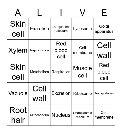 Bingo Alive! Life functions Bingo Card