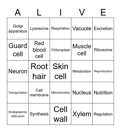 Bingo Alive! Life functions Bingo Card
