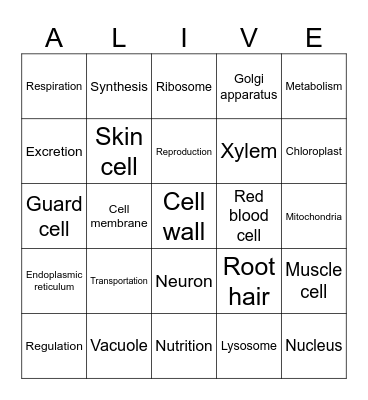 Bingo Alive! Life functions Bingo Card