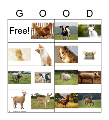 Farm Animal Bingo Card