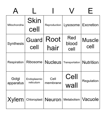 Bingo Alive! Life functions Bingo Card