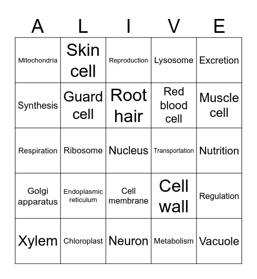 Bingo Alive! Life functions Bingo Card