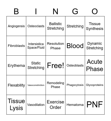 Random Bingo 2 Bingo Card