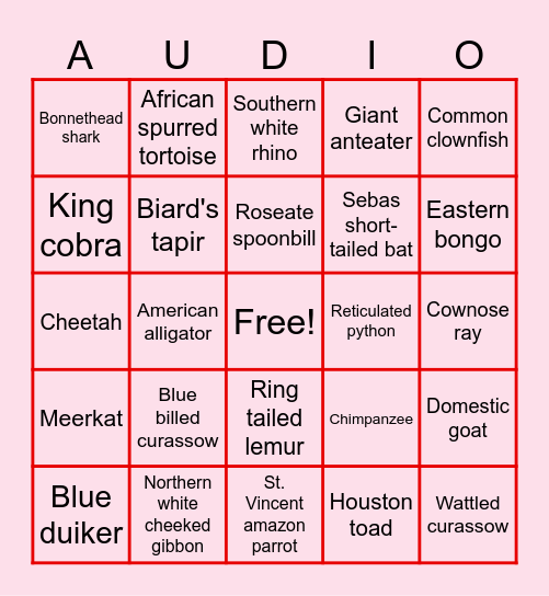 Audiology Zoo Bingo Card