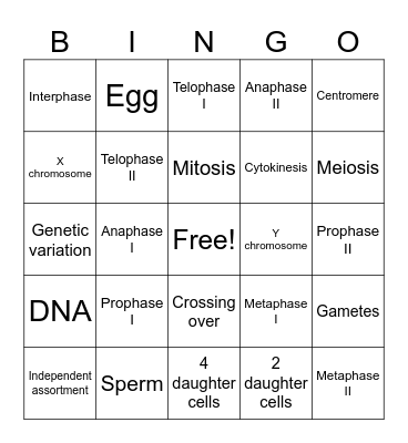 Meiosis BINGO Card
