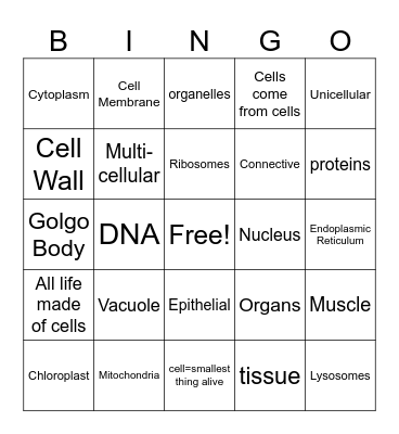 Cells 4 - cell theory & organelles Bingo Card