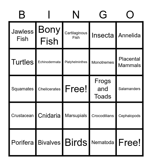 Animal Phylum Bingo Card