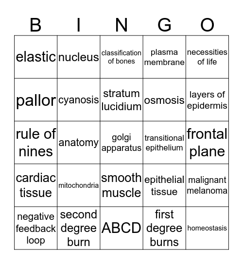 Anatomy 2nd 9 Wks EO9 Review Ch 1-8 Bingo Card