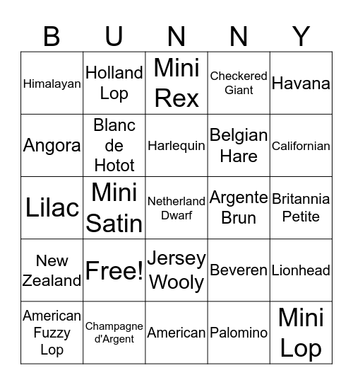 WVRCB Bunny Bingo Card