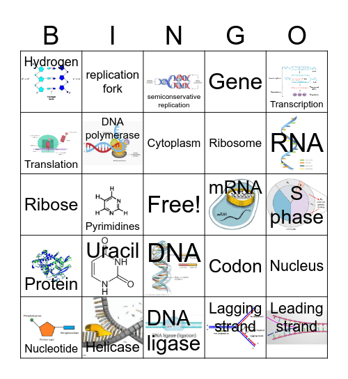 DNA Review Bingo Card