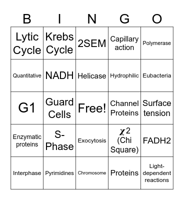 Biology Semester A Exam Review Bingo Card