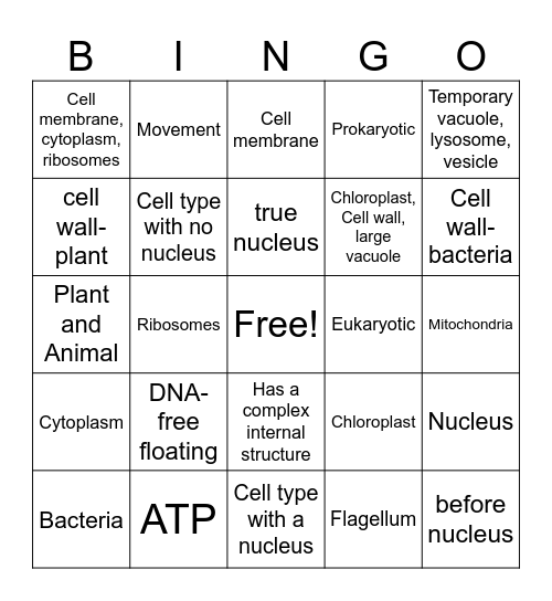 Prokaryotic verus Eukaryotic Bingo Card