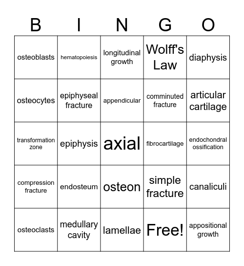 Chapter 6 review Bingo Card