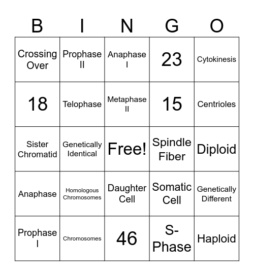 Mitosis vs. Meiosis Bingo Card