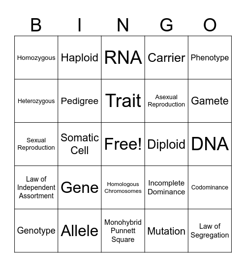 Unit 4 - Genetics Bingo Card