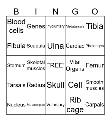 Health Bingo Card