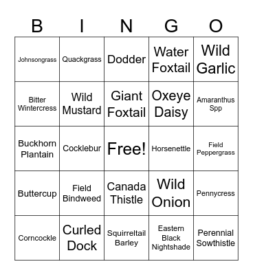 Noxious Weed Seed Bingo Card