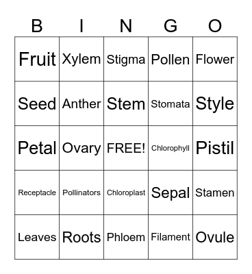 Plant and Flower Parts Bingo Card