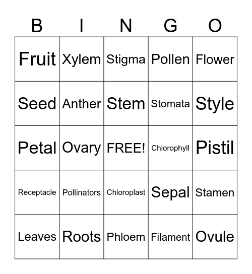 Plant and Flower Parts Bingo Card