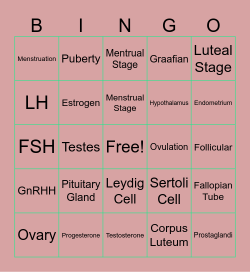 Menstruation & Hormones Bingo Card