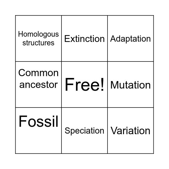 Evolution Bingo Card