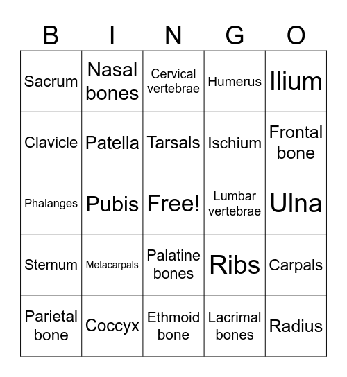 Skeletal System Bingo Card