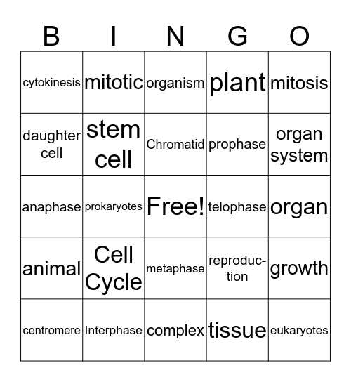 Cells to Organisms Bingo Card