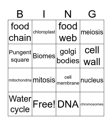 Vocabulary Review Bingo Card