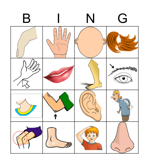 Body Bingo Card