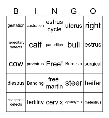 Beef Reproduction Test Bingo Card